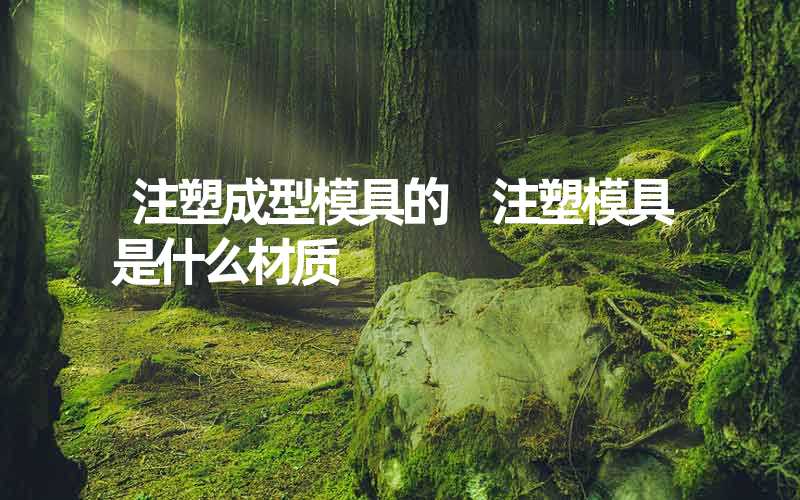 注塑成型模具的 注塑模具是什么材质